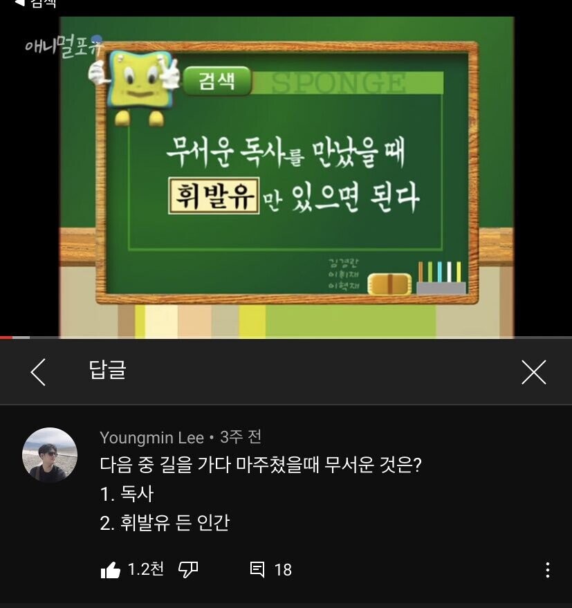 길에서 독사를 봤을때의 대처법 | 인스티즈