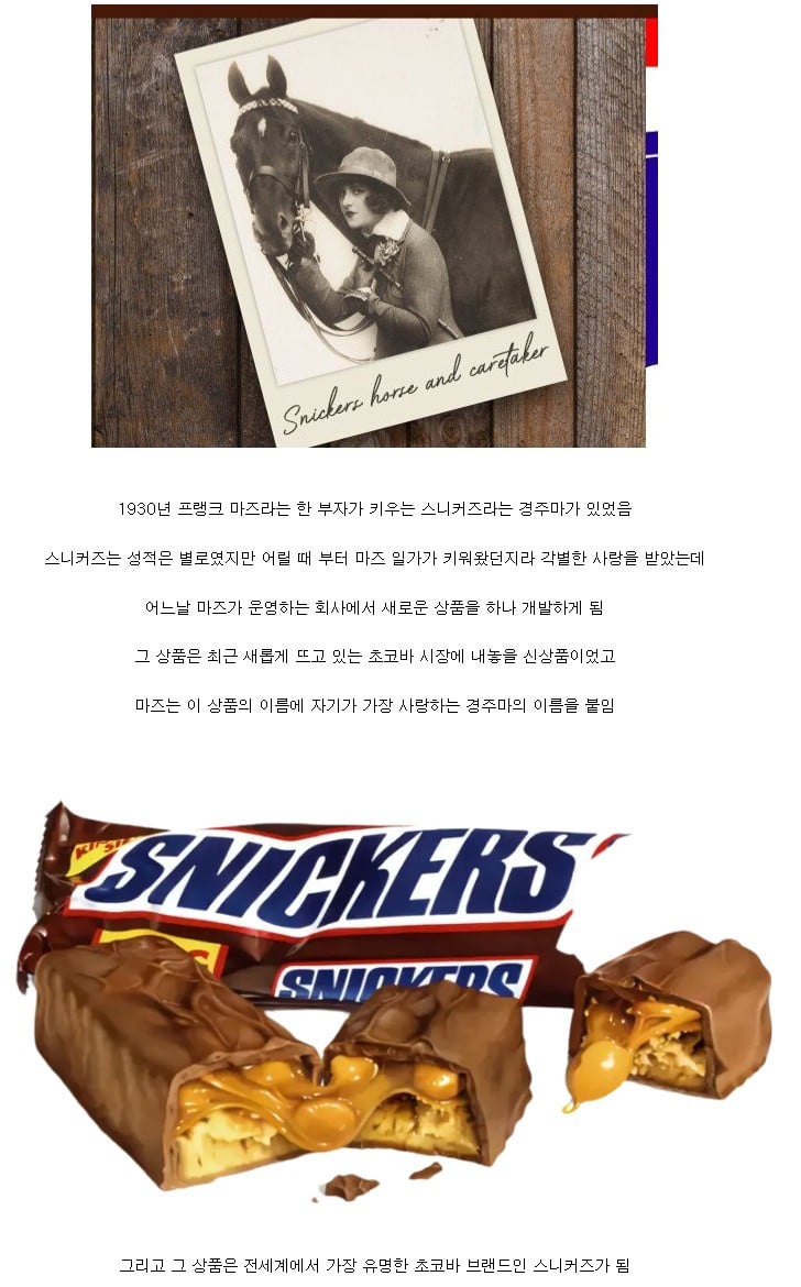 세계에서 가장 유명해진 어느 경주마의 이름 | 인스티즈