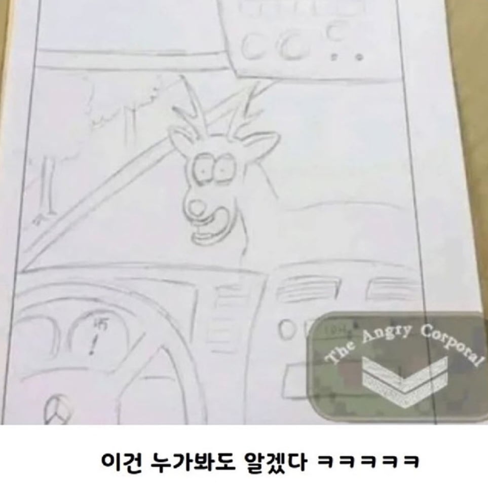 캐나다 운전사고 낸 군인의 경위서 | 인스티즈
