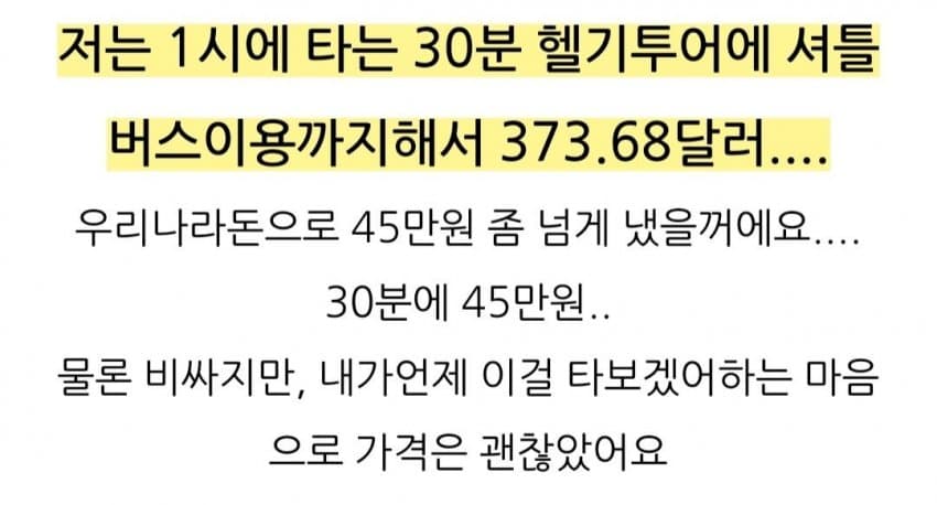 30분에 45만원이라는 뉴욕 헬기 투어 | 인스티즈