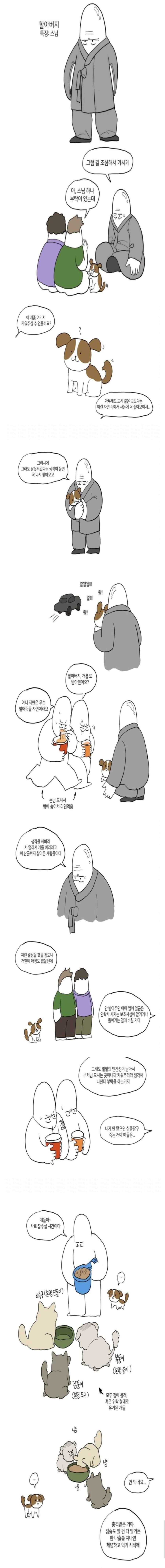 절에 버려진 개들 | 인스티즈