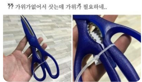 가위가 필요한 이유 | 인스티즈