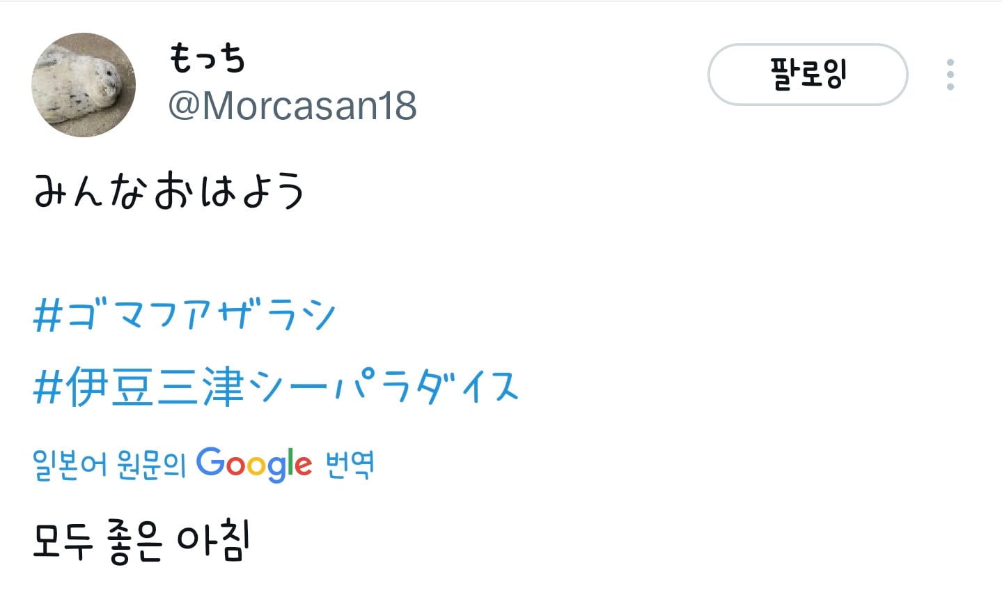 꼬질꼬질한게 귀여운 아기 물개 | 인스티즈