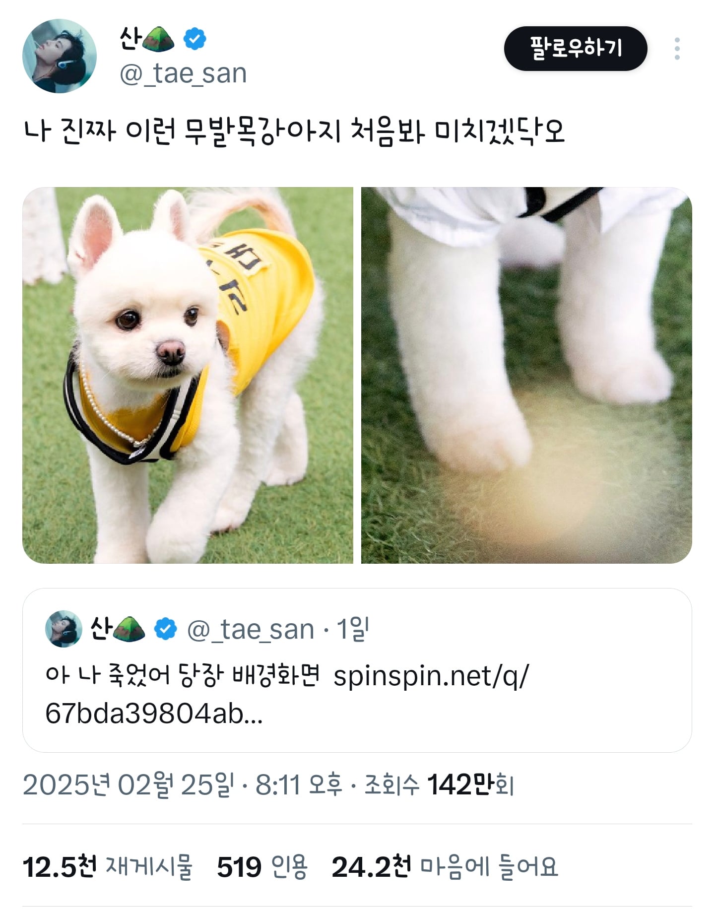 나 진짜 이런 무발목강아지 처음 봐 | 인스티즈