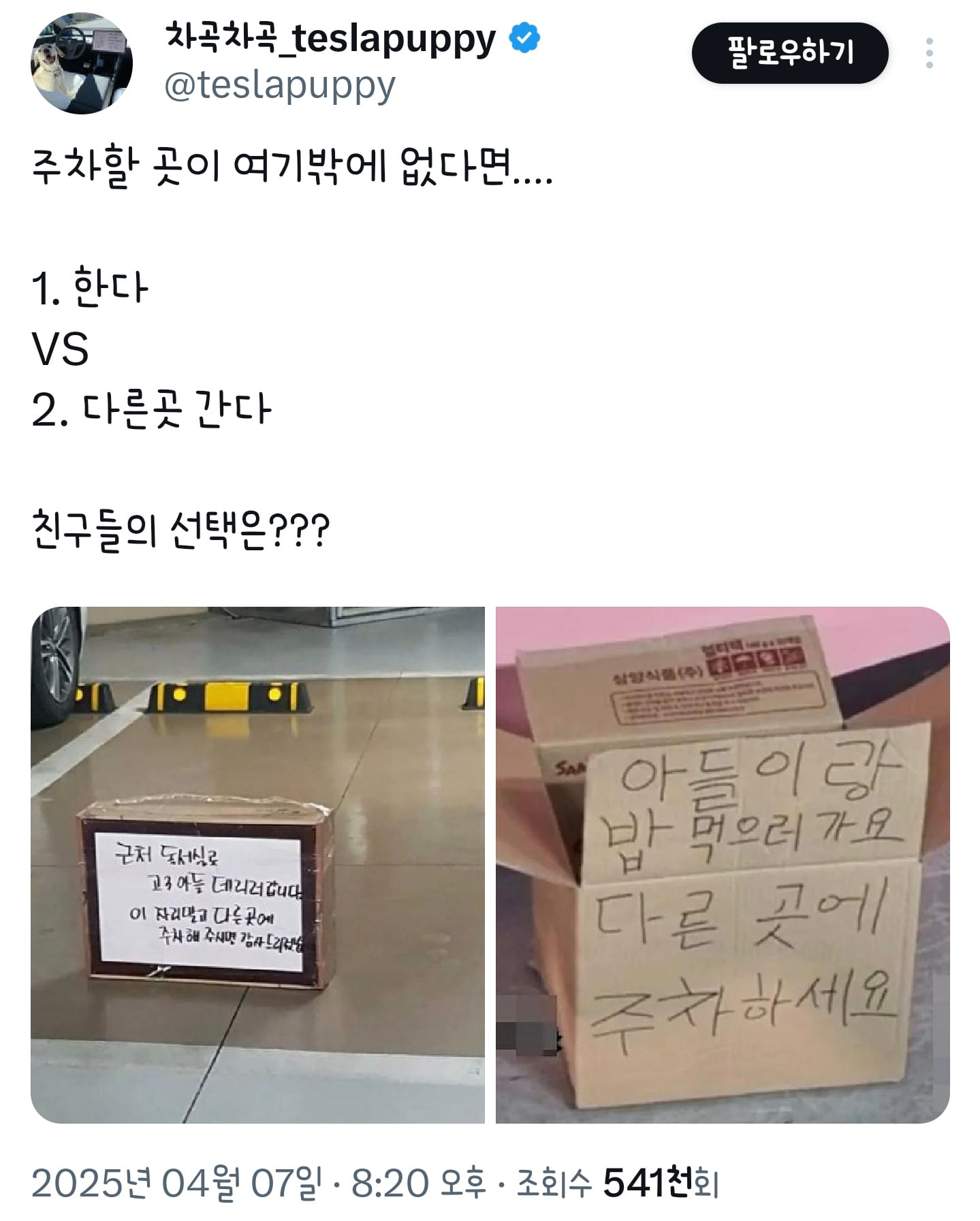 주차할 곳이 여기밖에 없다면.... | 인스티즈