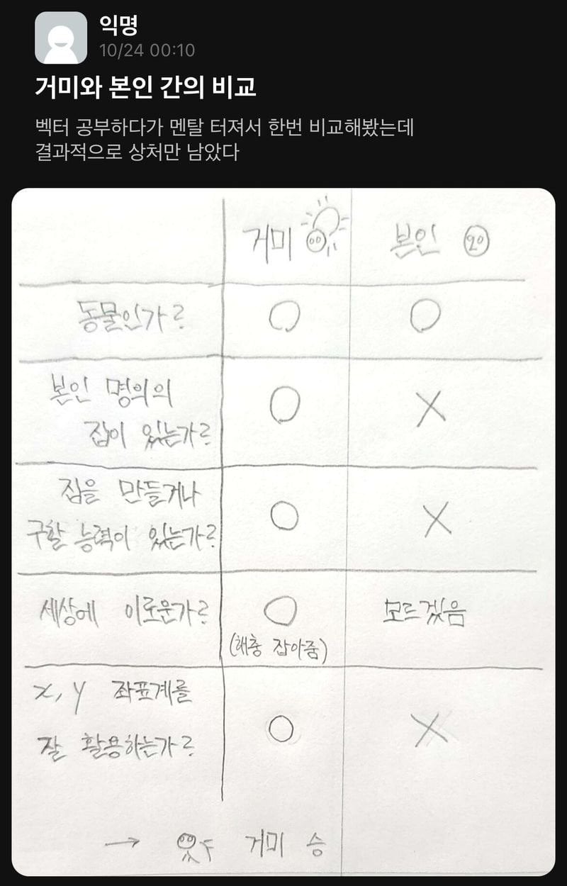 거미와 자신을 비교하다 현타가 온 대학생 | 인스티즈