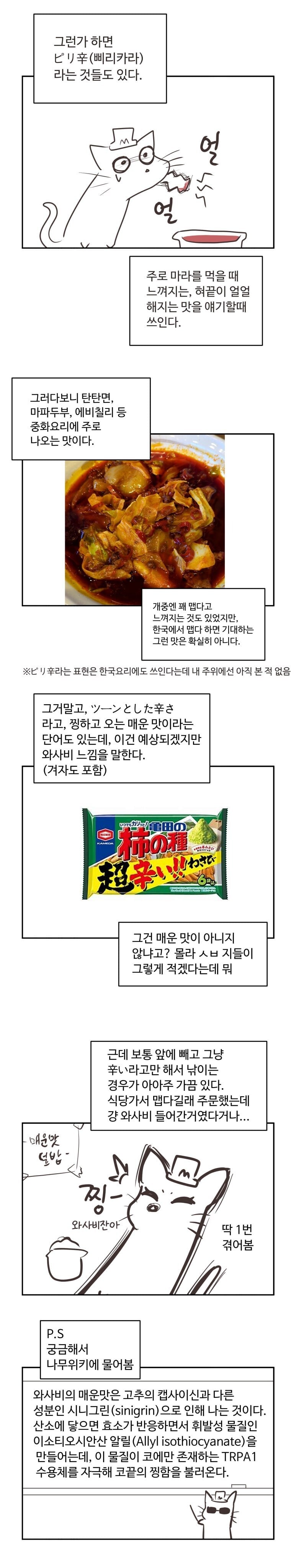 일본에서 매운 맛 찾는 만화 | 인스티즈