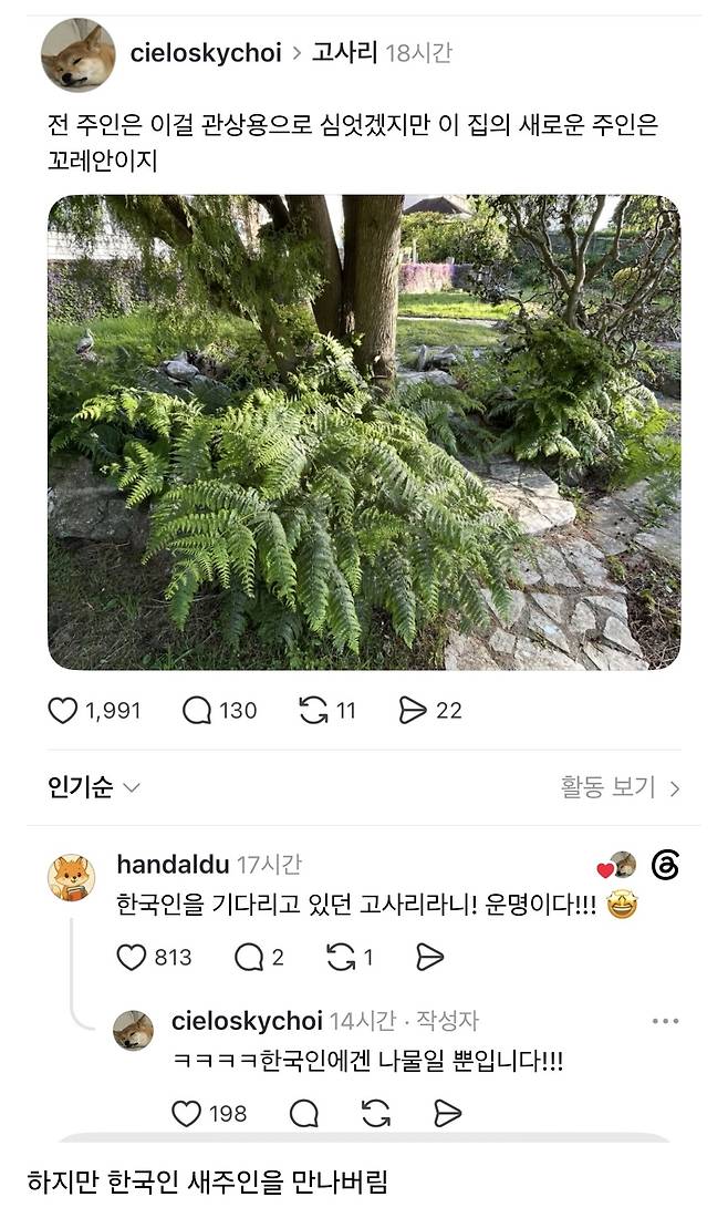 전 주인은 널 관상용으로 키웠겠지 | 인스티즈