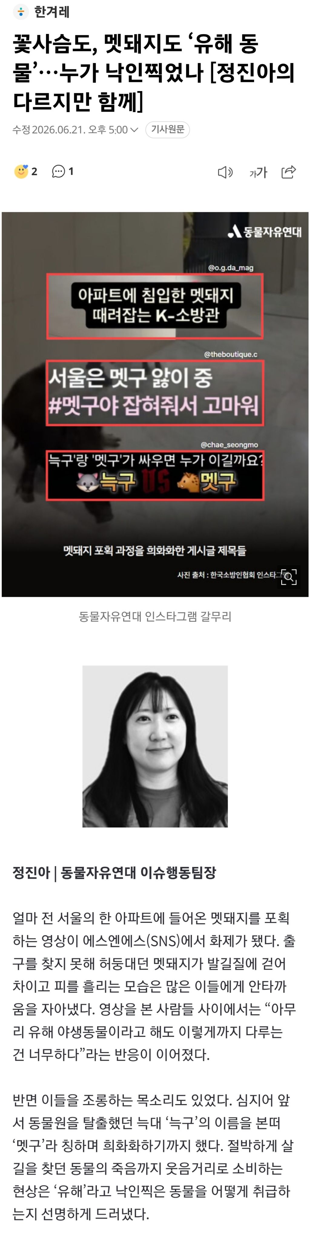 꽃사슴도, 멧돼지도 '유해 동물'…누가 낙인찍었나 [정진아의 다르지만 함께] | 인스티즈