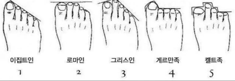당신은 어느 민족인가? | 인스티즈