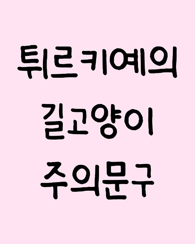 튀르키예의 길고양이 주의문구 | 인스티즈