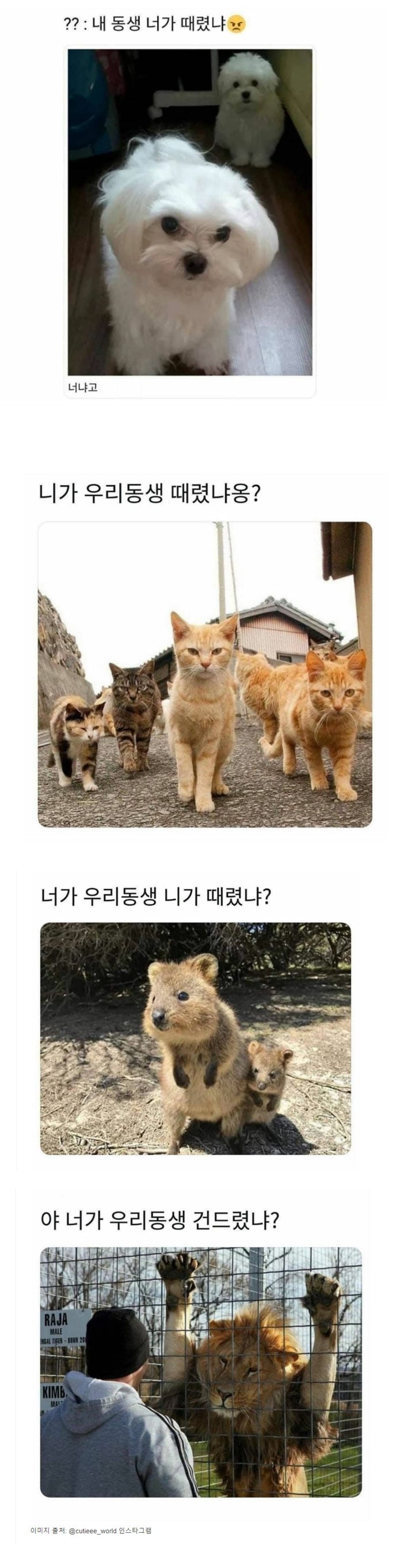 내 동생 건드렸냐? | 인스티즈
