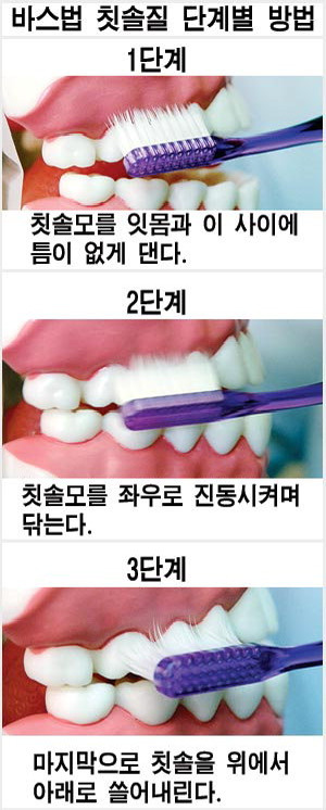 대부분의 치과의사들이 권장하는 양치법 | 인스티즈