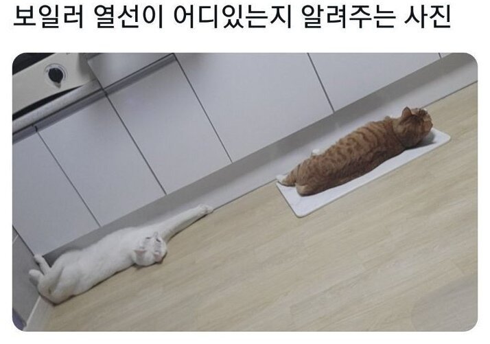 보일러 열선 찾아주는 사진 | 인스티즈