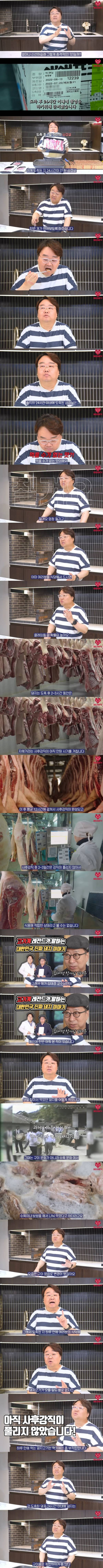 갓 잡은 신선한 돼지는 얼마나 맛있을까 | 인스티즈