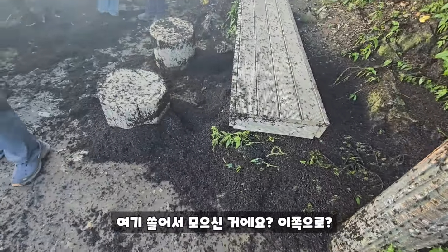 직접 가본 피셜 재앙수준이라는 인천 계양산 상황...jpg | 인스티즈