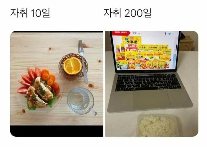 자취 10일차 vs 자취 200일차 | 인스티즈