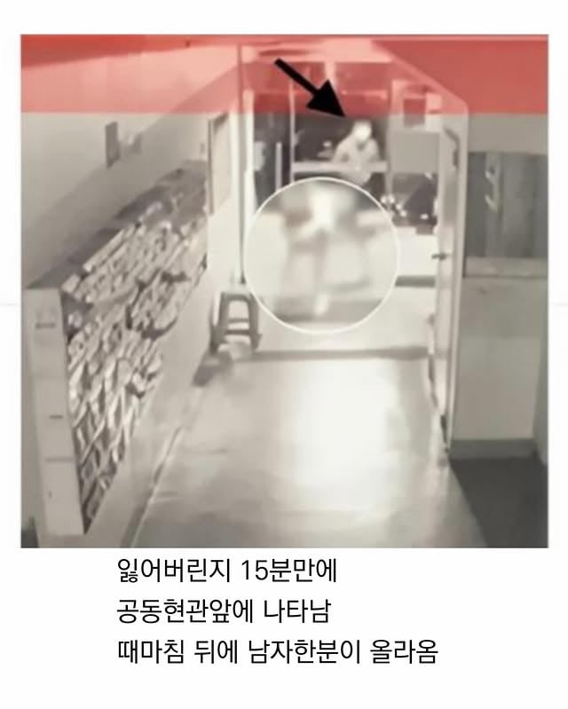 마트에서 반려견 잃어버림 | 인스티즈