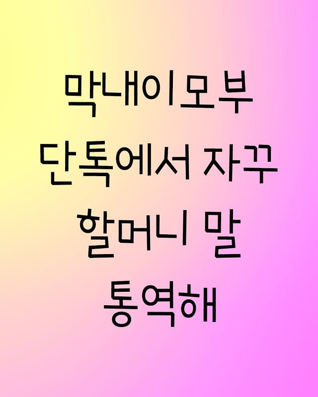막내이모부 단톡에서 자꾸 할머니말 통역해 | 인스티즈