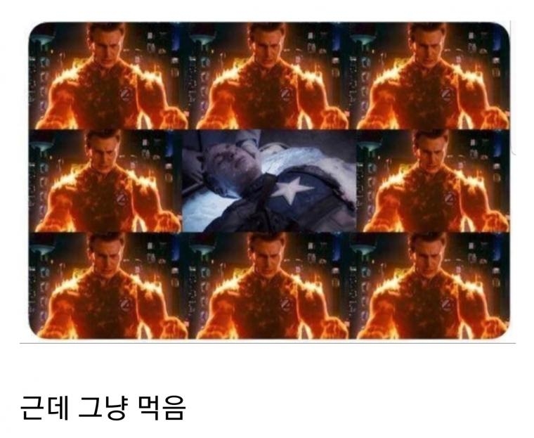 전자레인지로 데운 만두 특징 | 인스티즈