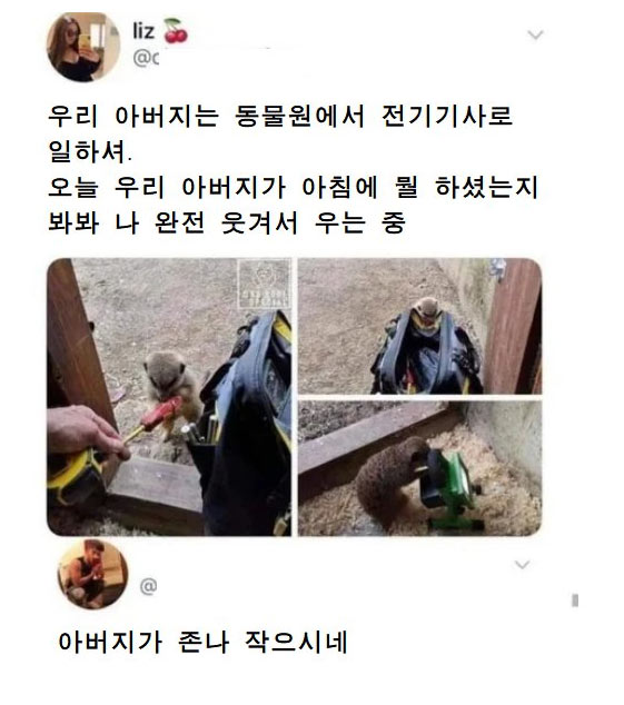 동물원에서 일하는 아버지 | 인스티즈