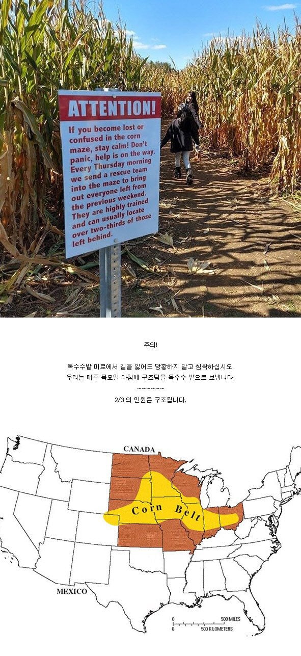 옥수수밭 경고문 | 인스티즈