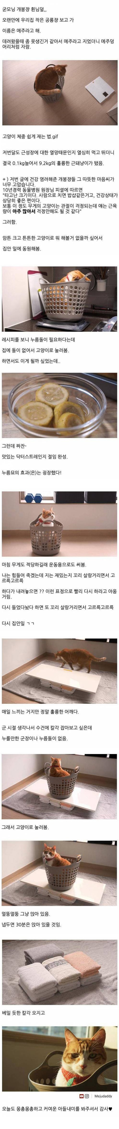 누름묘의 효과 | 인스티즈