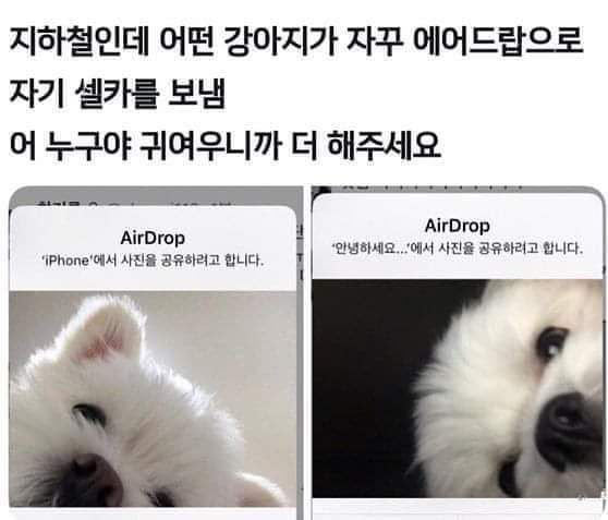 에어드롭으로 자꾸 셀카 보냄 | 인스티즈