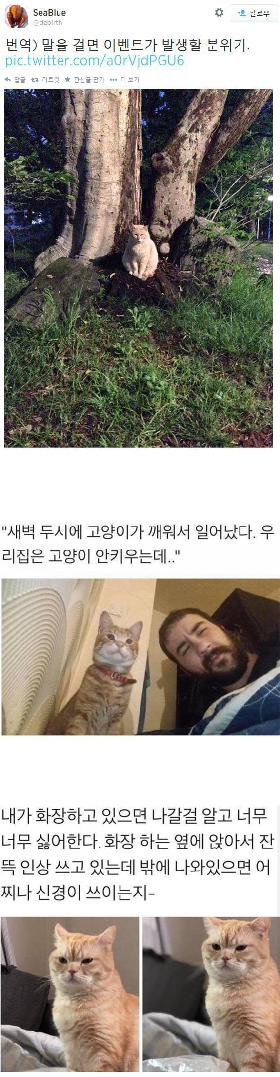난 고양이고 넌 집사야 | 인스티즈