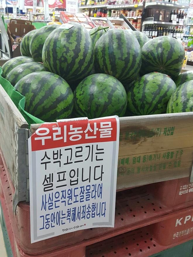 솔직한 슈퍼 | 인스티즈