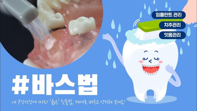 대부분의 치과의사들이 권장하는 양치법 | 인스티즈