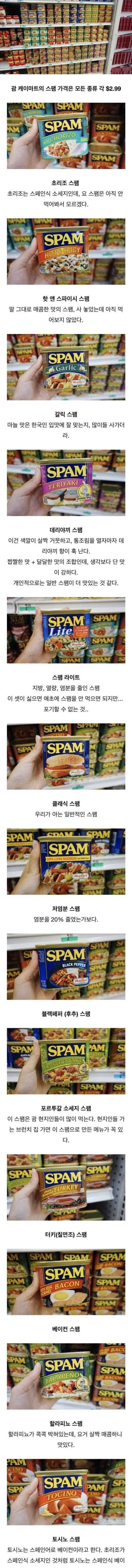 미국에 파는 스팸의 종류 | 인스티즈