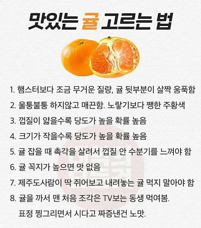 맛있는 귤 고르는 법 | 인스티즈
