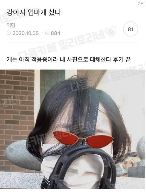 강아지 입마개 구입 후기 | 인스티즈