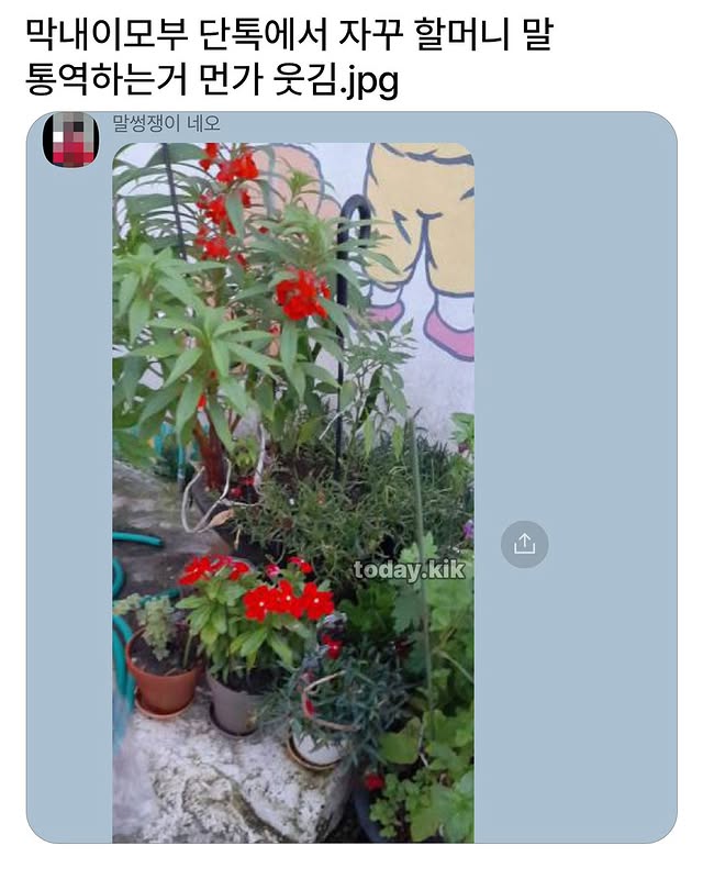 막내이모부 단톡에서 자꾸 할머니말 통역해 | 인스티즈