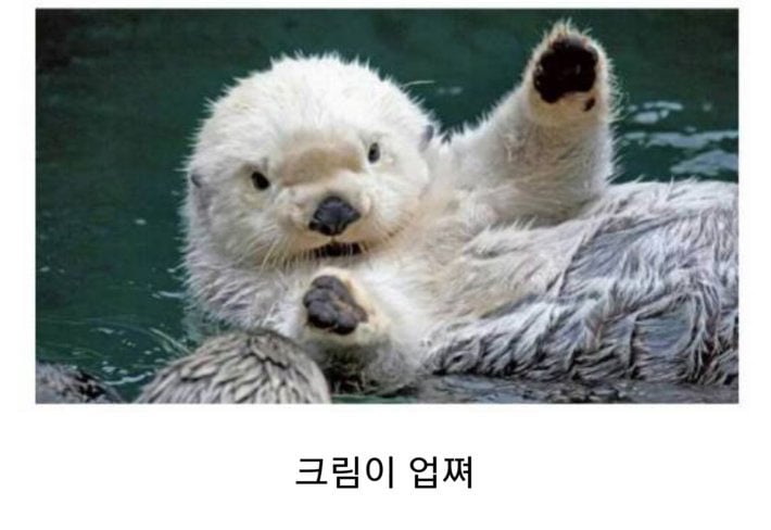 오레오를 반으로 나눠봤쪄 | 인스티즈