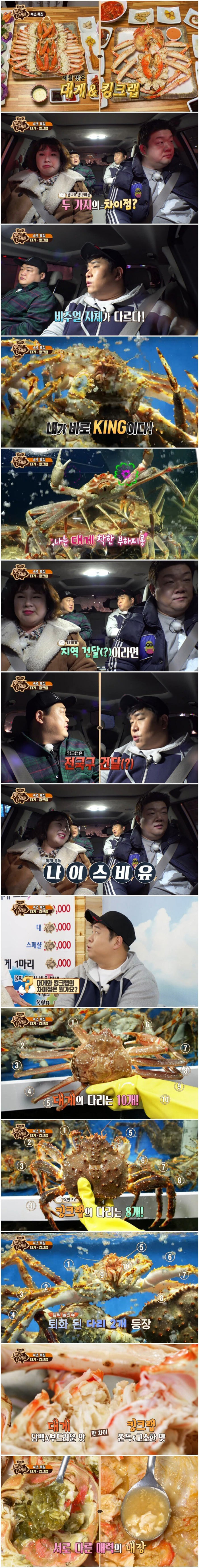 대게와 킹크랩 차이점 | 인스티즈