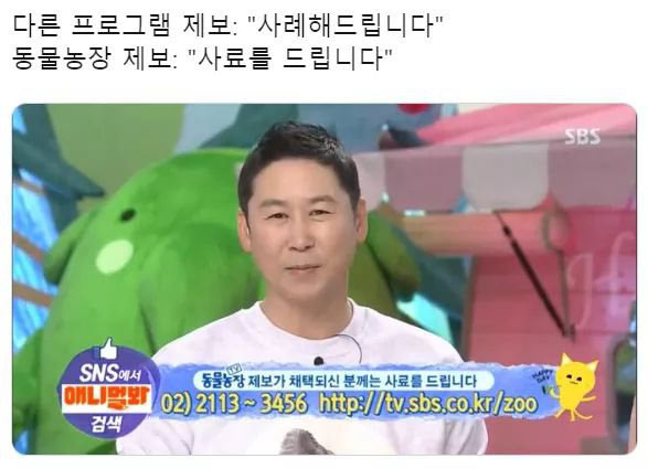 동물농장 제보에 채택되면 | 인스티즈