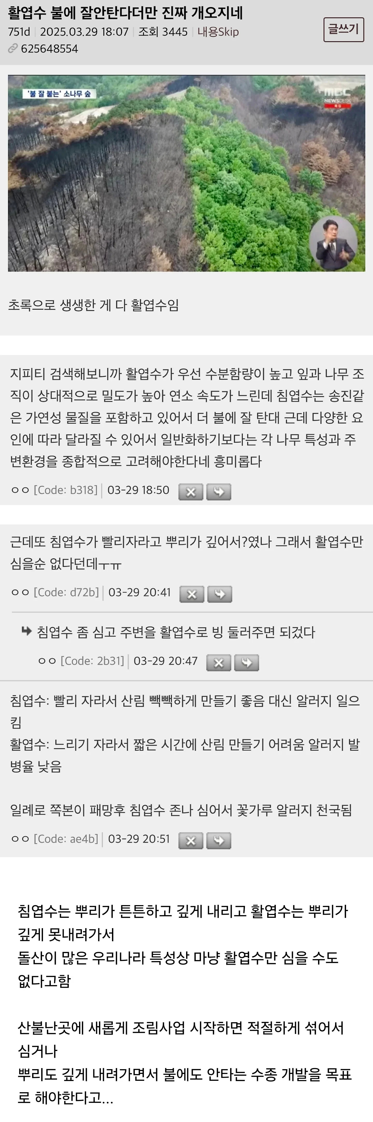 의외로 불에 잘 안 타는 나무 | 인스티즈