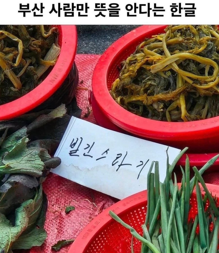 부산 사람만 뜻을 안다는 한글 | 인스티즈