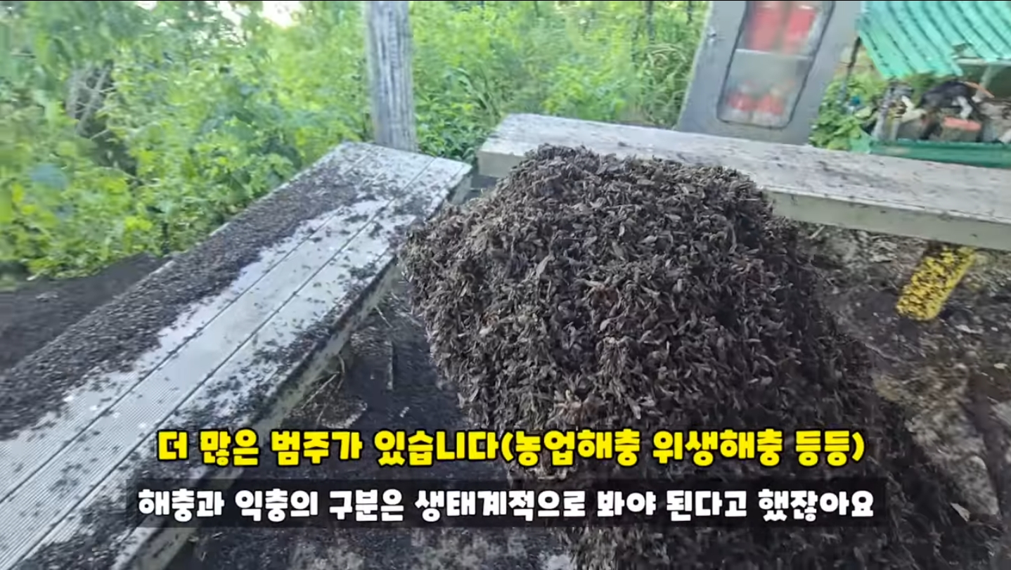 직접 가본 피셜 재앙수준이라는 인천 계양산 상황...jpg | 인스티즈