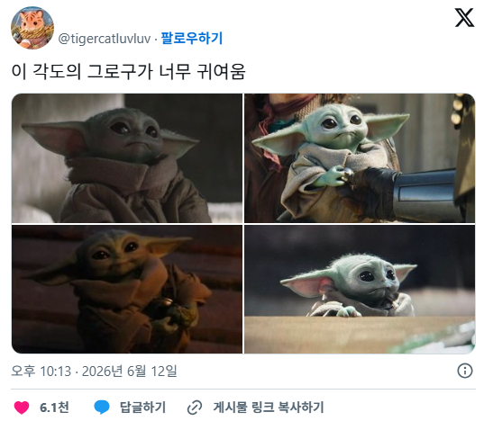 이 각도의 그로구가 너무 귀여움 | 인스티즈