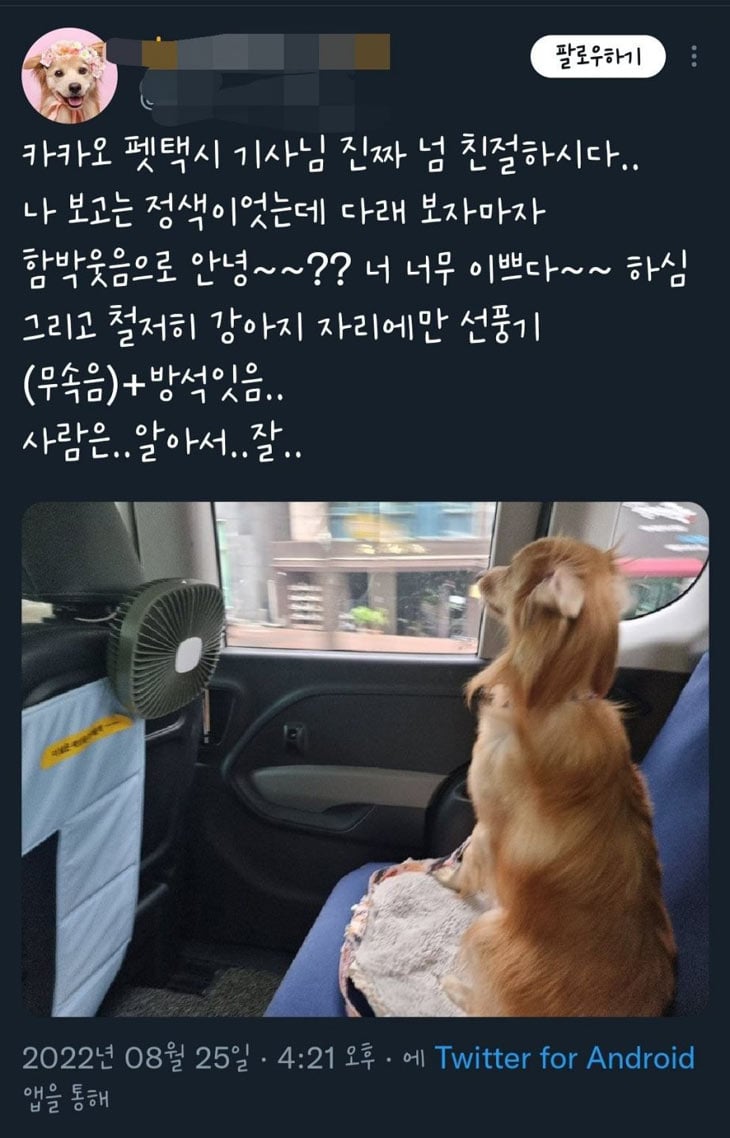 펫 택시에서 차별 받음 | 인스티즈