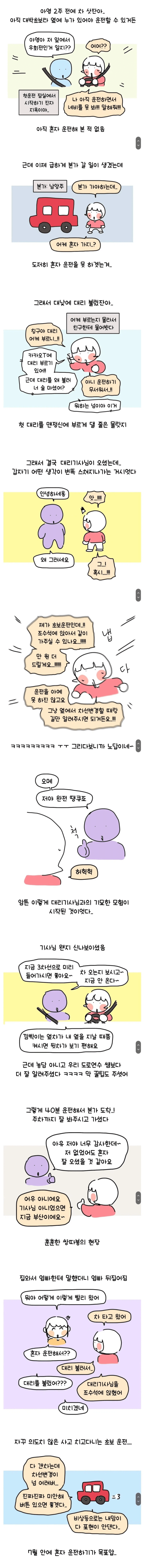 대낮에 맨정신으로 대리기사 부른 썰 | 인스티즈