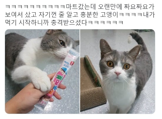 니가 그걸 왜 먹어? | 인스티즈