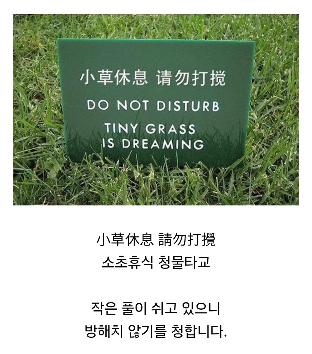대륙의 잔디보호 문구 | 인스티즈