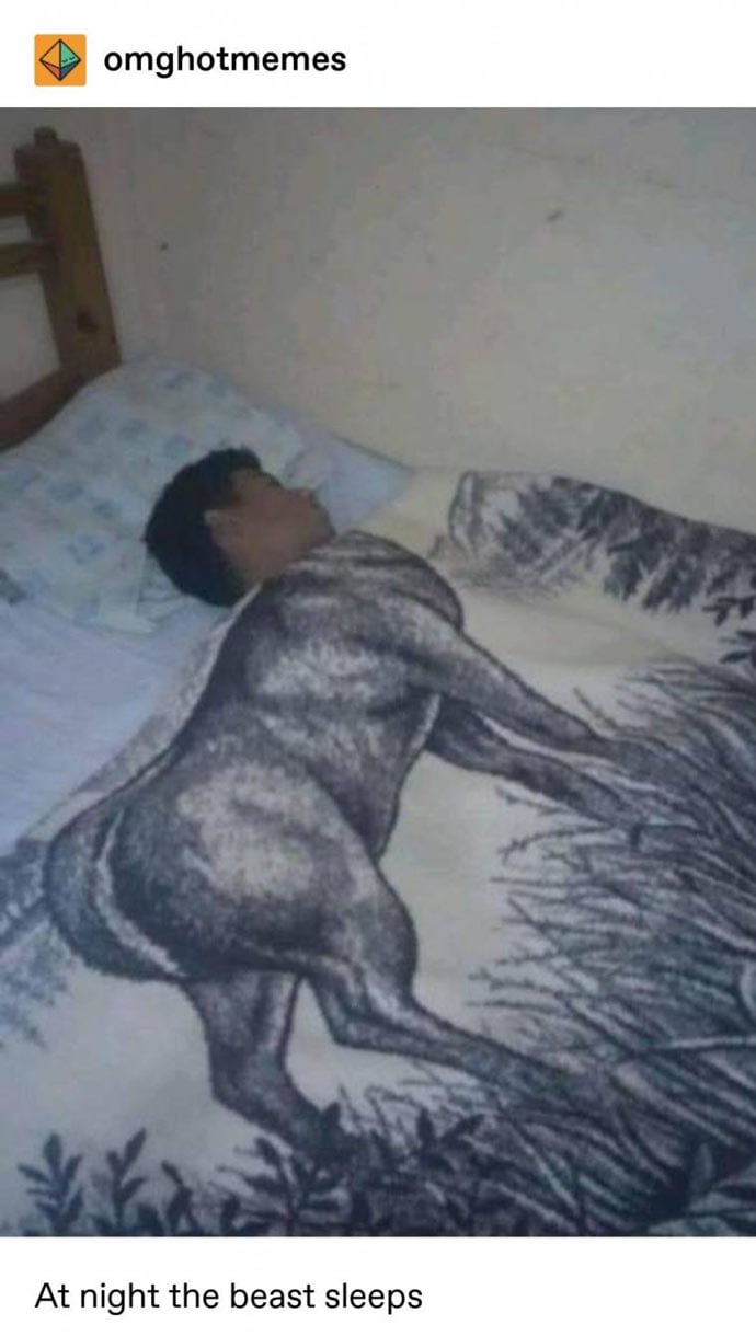 건들지 못하는 이불 | 인스티즈