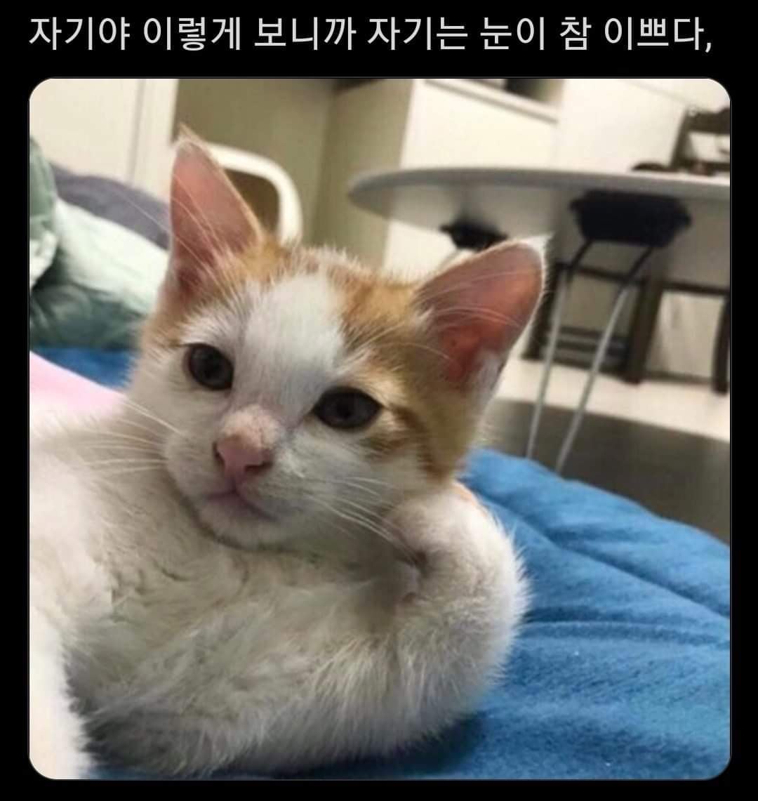 초딩들의 개웃긴 시험 답안지 모음 | 인스티즈