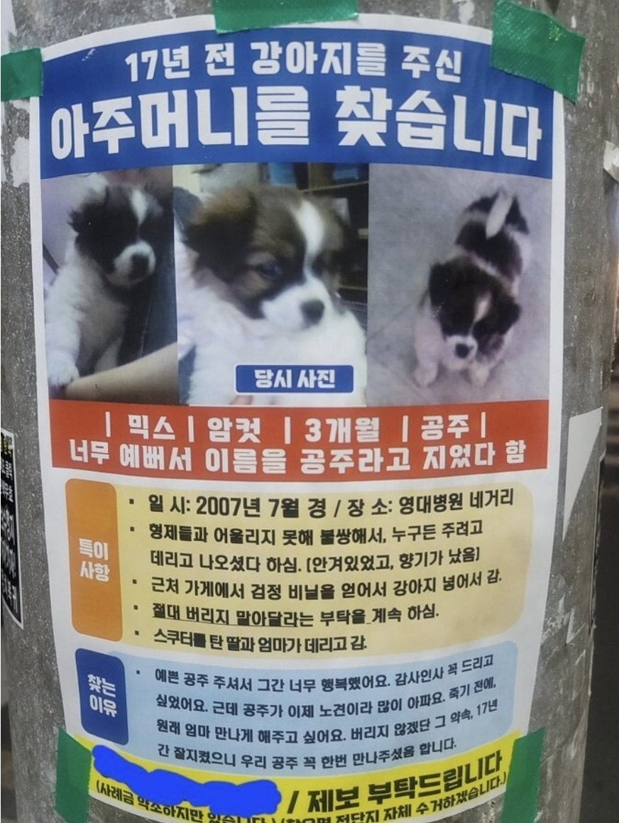 17년전 강아지를 주신 아주머니를 찾습니다 | 인스티즈