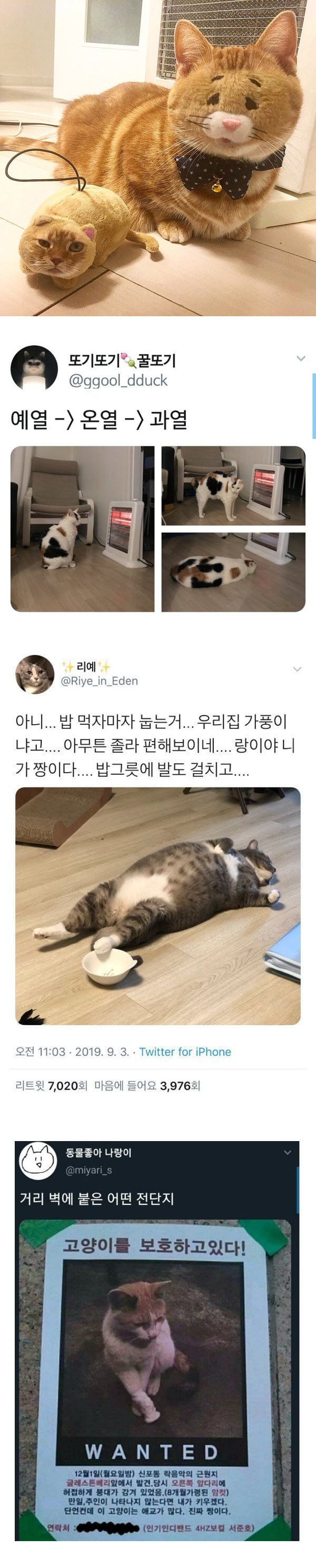 난 고양이고 넌 집사야 | 인스티즈